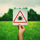 Organic Base Pest Solutions