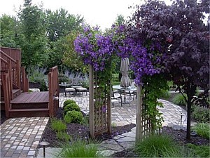 Landscape Contractor Easton, PA